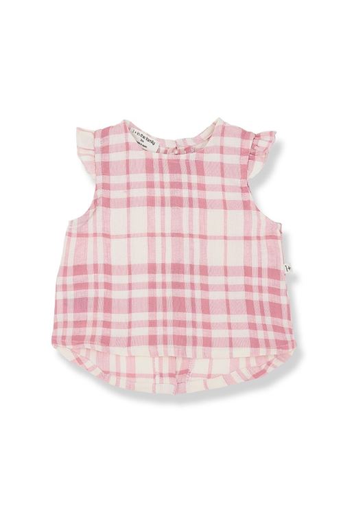  1+ in the family | FERROSATRAWBERRY